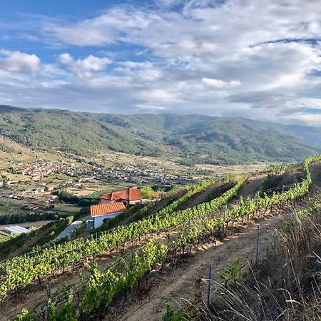שאבס Quinta Da Penada - Vineyard & Winery - Suite 3 מראה חיצוני תמונה