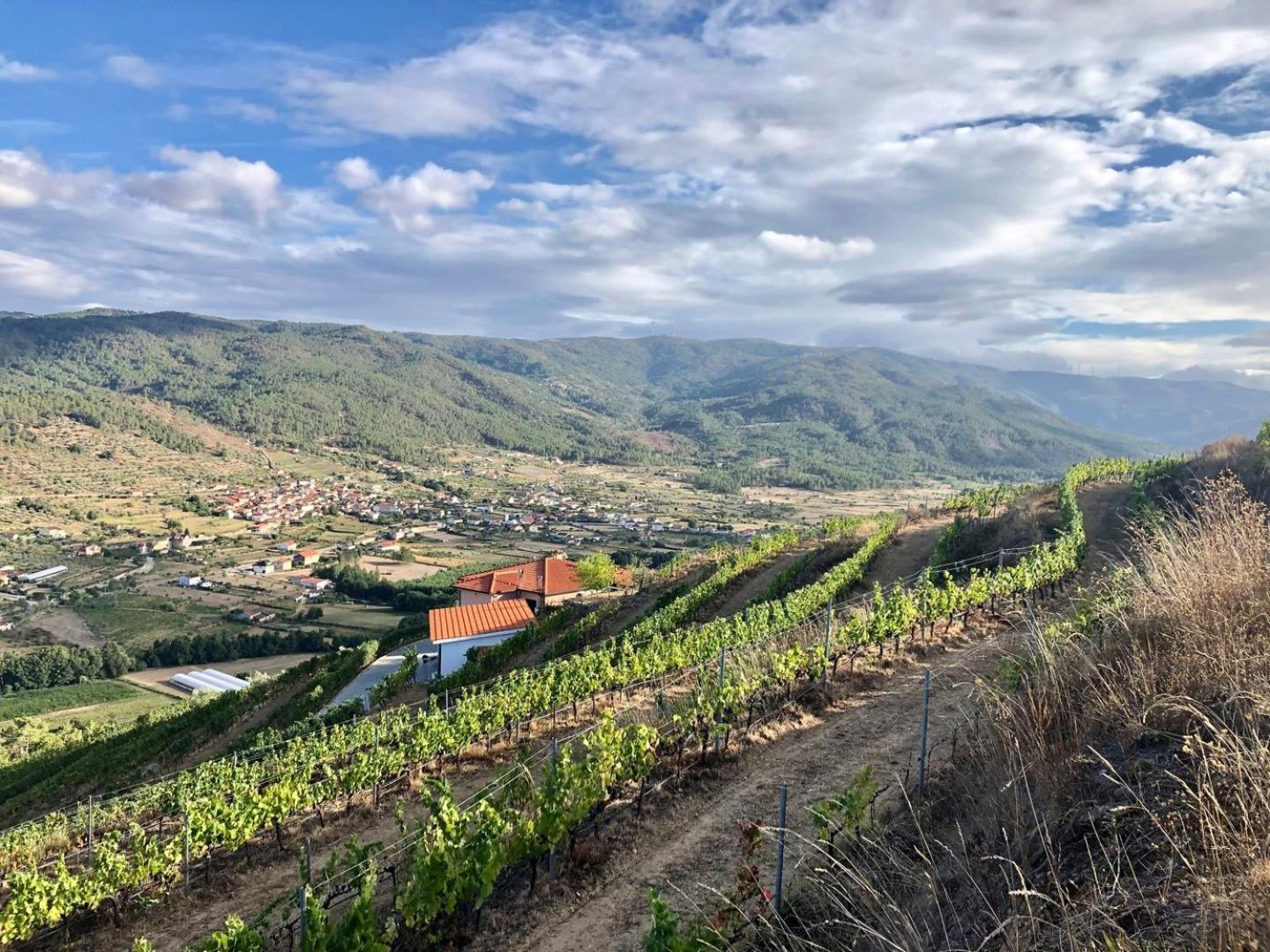 שאבס Quinta Da Penada - Vineyard & Winery - Suite 3 מראה חיצוני תמונה