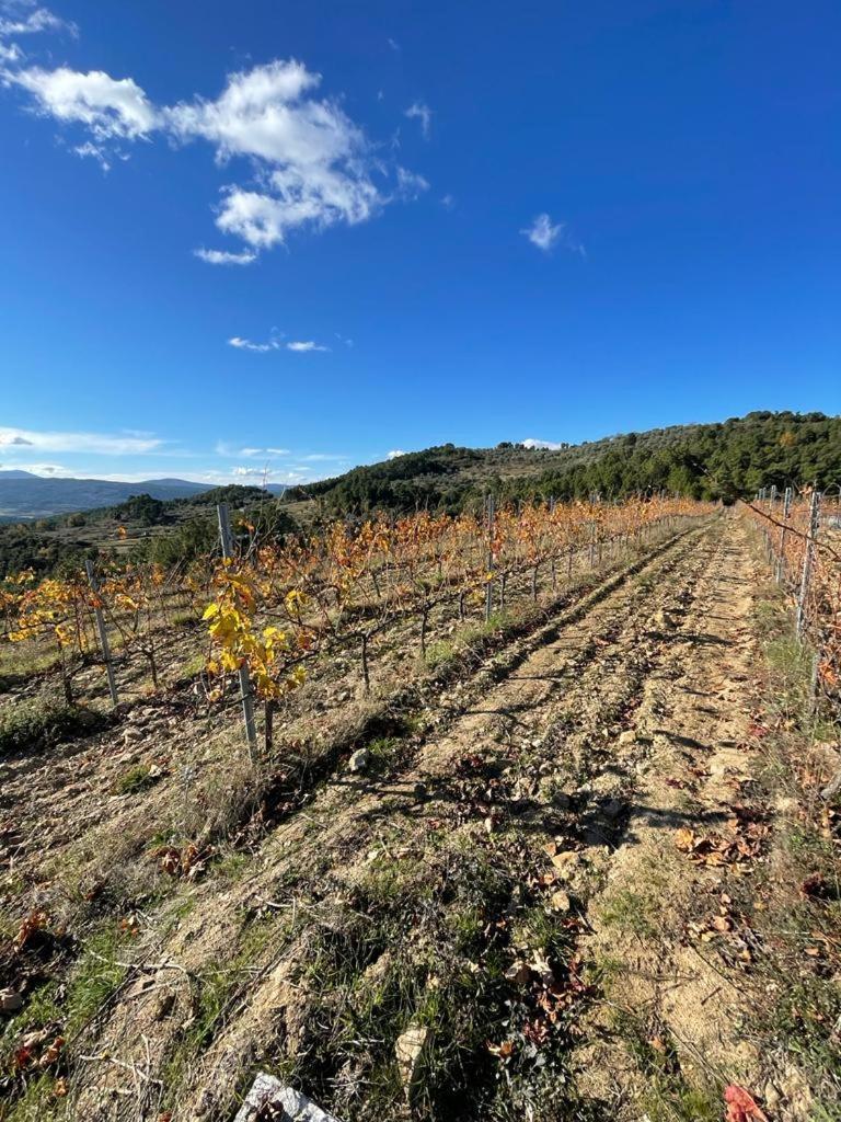שאבס Quinta Da Penada - Vineyard & Winery - Suite 3 מראה חיצוני תמונה