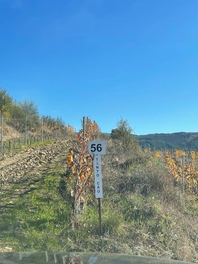שאבס Quinta Da Penada - Vineyard & Winery - Suite 3 מראה חיצוני תמונה